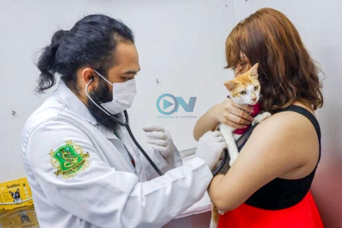 Piauí Pet Castramóvel já realizou mais de 3 mil castrações no Piauí